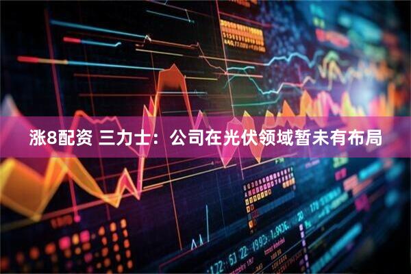 涨8配资 三力士：公司在光伏领域暂未有布局